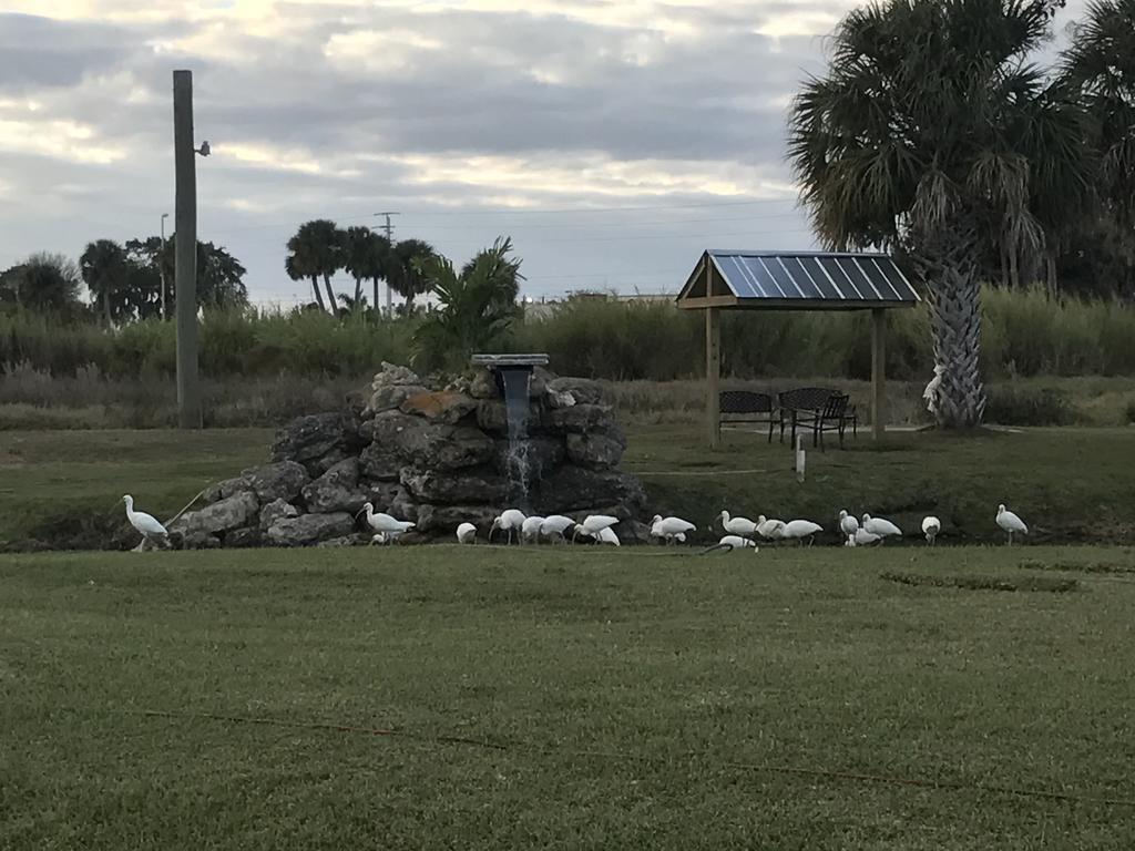 Days Inn & Suites By Wyndham Lake Okeechobee Eksteriør bilde